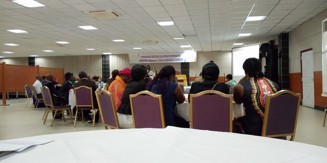 Travail Domestique : l’Oit veut pousser le Cameroun à améliorer ses textes