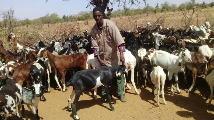 400 000 animaux vaccinés dans la région du Sahel au Burkina Faso, selon le CICR