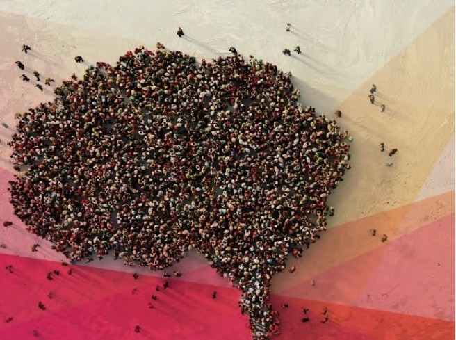 Banques africaines, cibles des cyberattaques et autres fraudes informatiques