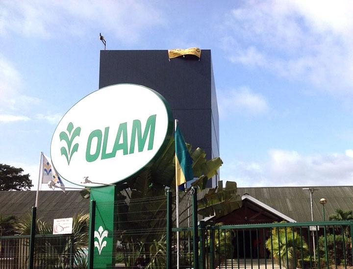 Cameroun ► Cacaoculture : Une nouvelle application pour lutter contre le travail des enfants