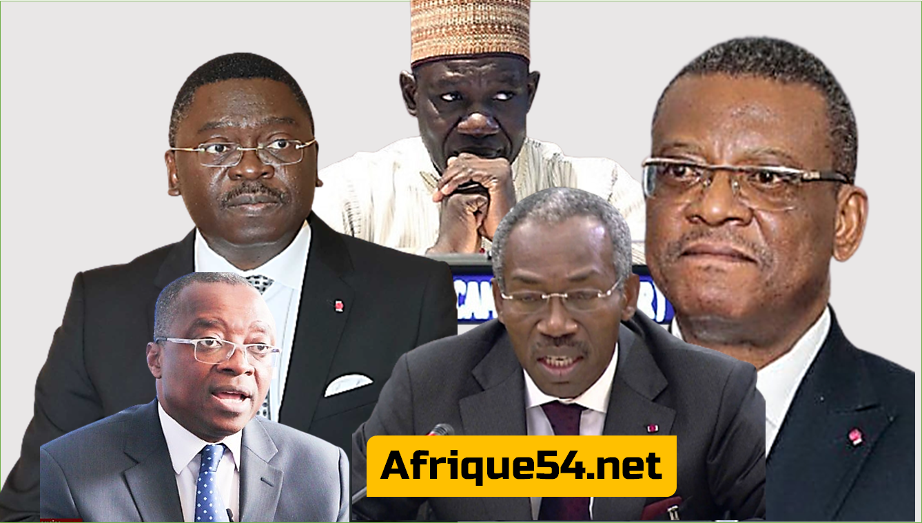 Massif forestier d’EBO: Cacophonie au sein du gouvernement camerounais