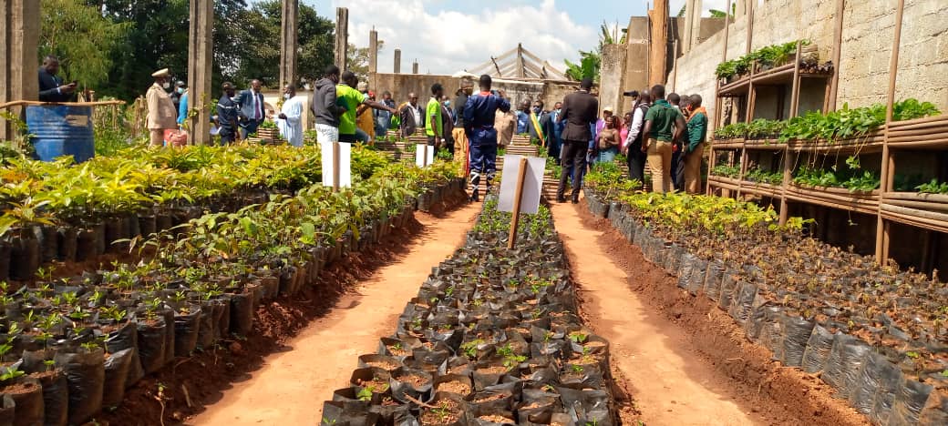 Cameroun : Les réalisations des bénéficiaires du PTS-Jeunes visibles dans la localité de Dschang