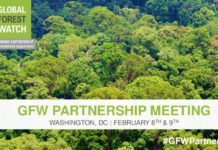 RDC : 1.22 Million d’hectares de forêt naturelle perdus en 2019, selon Global Forest Watch