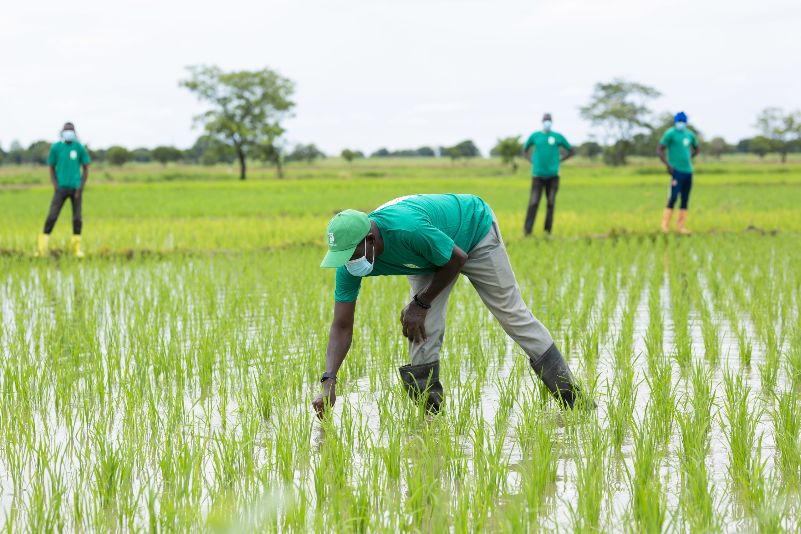 Côte d’Ivoire : Soutien de l’AATB au programme d’Agribooster qui bénéficiera à 20 000 agriculteurs