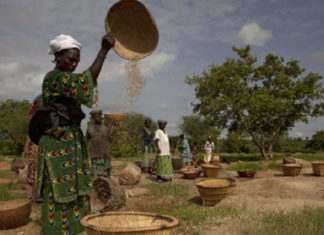 insécurité alimentaire et nutritionnelle au Niger