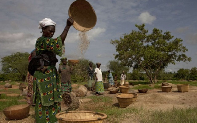 Comment la Bad est engagée dans la croisade contre l’insécurité alimentaire et nutritionnelle au Niger