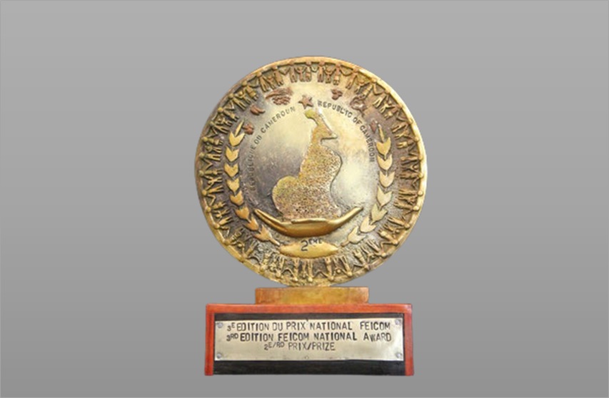 Cameroun : Récompense des meilleures pratiques communales de développement local