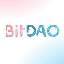 BitDAO réunit 230 M $ pour lancer l’un des plus grands DAO au monde