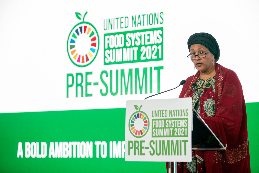 A Rome, les Etats membres de l’ONU planchent sur la transformation des systèmes alimentaires