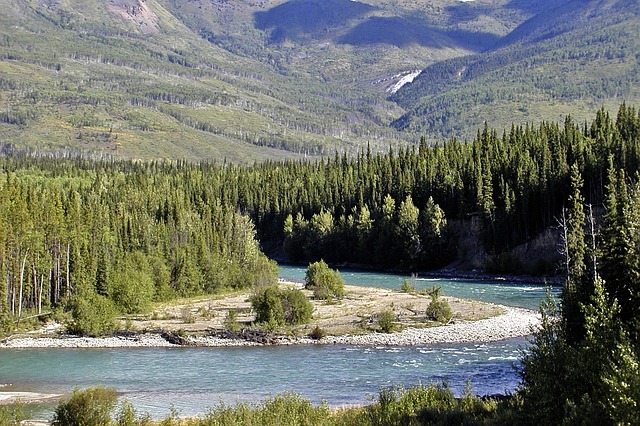 Allez au nord de la Colombie-Britannique pour découvrir l’or du Yukon