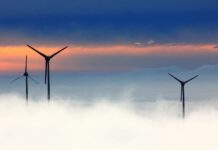 Production énergétique mondiale : les énergies renouvelables atteignent un nouveau record en 2021