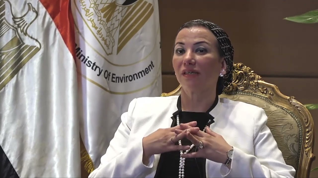 Egyptian official speaks highly of China’s efforts in tackling climate challenges