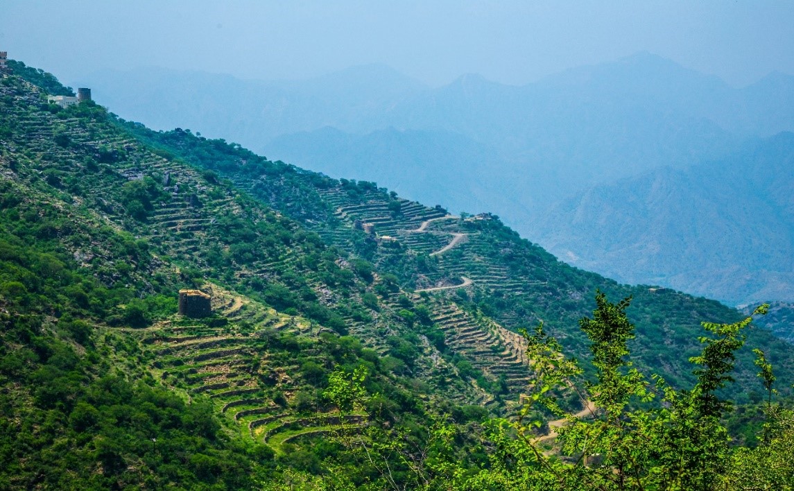 Riyad accueillera la Journée Mondiale de l’Environnement 2024