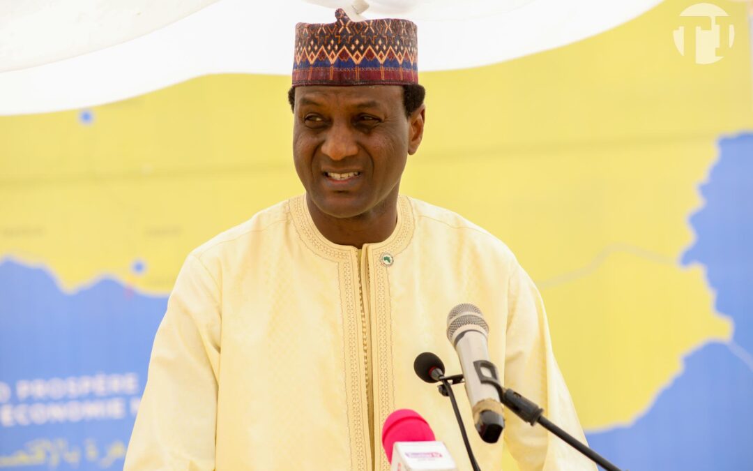 Niger : le gouvernement donne son accord à la création de la première société de production de sucre