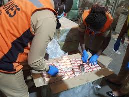 Cameroun : saisie de 434 kg de tramadol à l’aéroport international de Douala