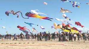 Tunisie : une quinzaine de pays au coup d’envoi du Festival international du cerf-volant