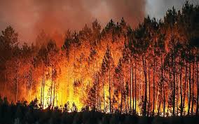 Espagne : incendie de forêt hors de contrôle dans le centre du pays