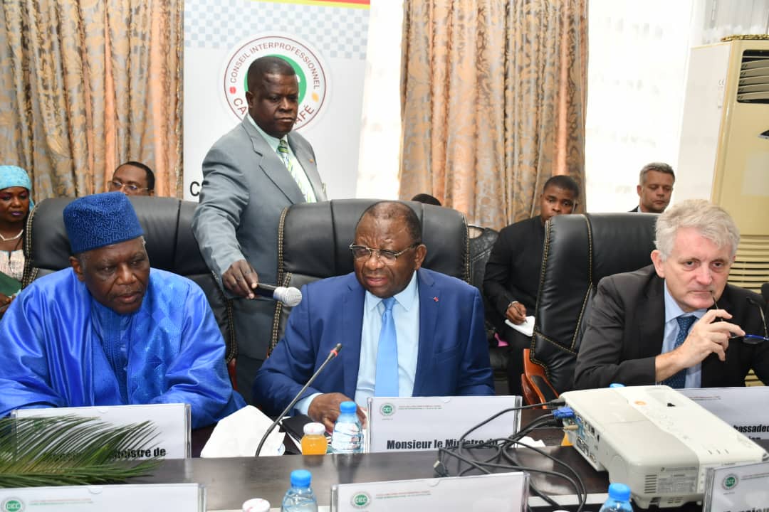 Filière cacao au Cameroun : anticipation sur les exigences de l’Union Européenne