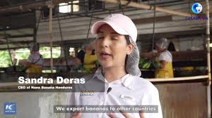 La revanche de la « république bananière » – une histoire de la lutte du Honduras contre l’ingérence américaine (PAPIER GENERAL)