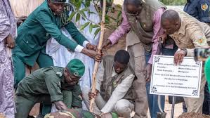 Le président sénégalais lance une campagne nationale de reboisement