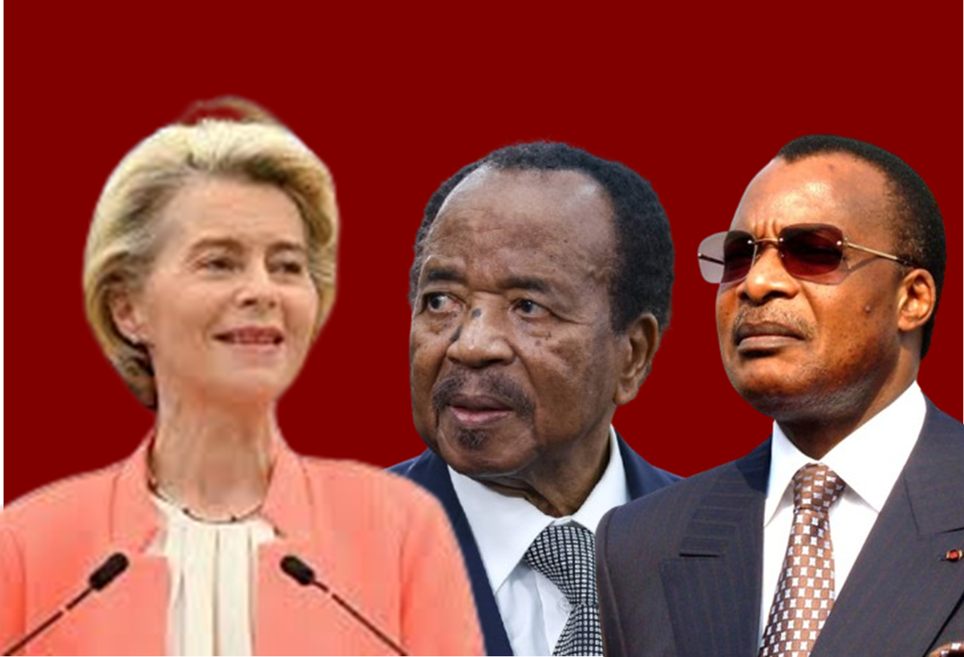 APV-FLEGT – L’Union Européenne marche sur le Cameroun et le Bassin du Congo