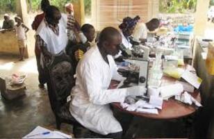 Guinée : la communauté scientifique se penche sur la lutte contre la trypanosomiase humaine africaine