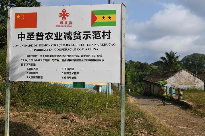 (Multimédia) Comment les compétences chinoises contribuent à l’amélioration du secteur agricole à Sao Tomé-et-Principe ?(REPORTAGE)