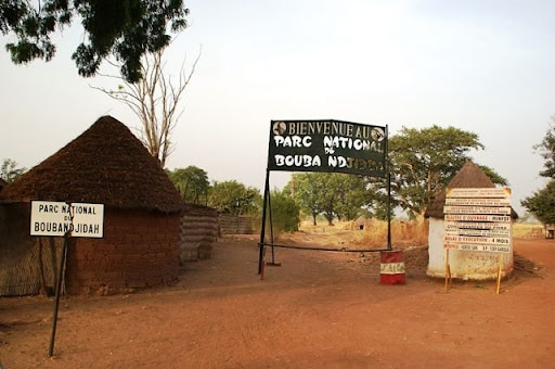 Sauver les hommes pour sauver la conservation au Cameroun