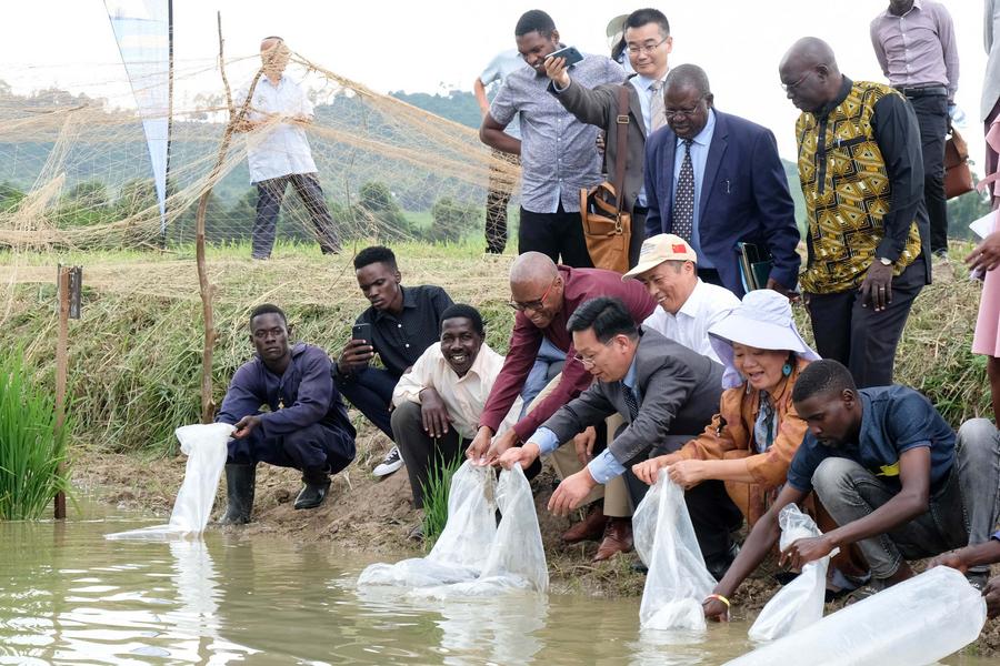 Coopération Chine-Ouganda sur le soja au service de la transformation agricole à Busoga
